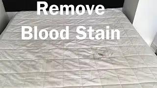 How to remove a blood stain from the sofa?